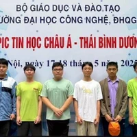 Seis estudiantes vietnamitas ganan medallas en la Olimpiada. (Foto: VNA)