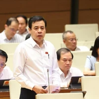 El diputado Tran Anh Tuan de Ciudad Ho Chi Minh habla en una sesión de debate. (Foto: VNA)
