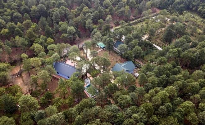 La cobertura forestal de Hanoi ha alcanzado el 5,59%, principalmente en los distritos de Ba Vi, Soc Son, My Duc, Chuong My, Quoc Oai y Thach That y en la ciudad de Son Tay. (Foto: VNA)