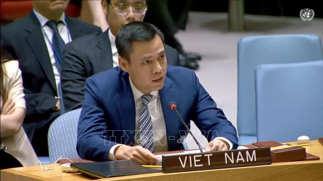 El embajador Dang Hoang Giang, jefe de la misión vietnamita ante las Naciones Unidas. (Fuente: VNA)