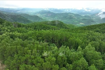 Foto ilustrada (Fuente: VNA)