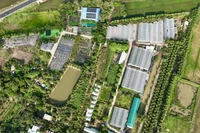 El auge del agroturismo en Vietnam: una apuesta por el desarrollo sostenible