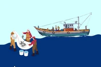 Medidas urgentes para subsanar deficiencias en lucha contra pesca ilegal