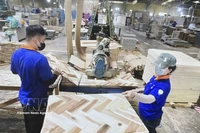 Producción de paneles de madera en la empresa Thuan An Wood. (Foto: VNA)