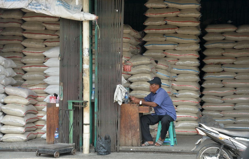 Indonesia apunta a exportar hasta 500 mil toneladas de arroz en 2020