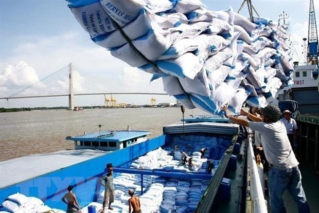 Verifica Vietnam volumen de arroz en puertos para plan de exportación