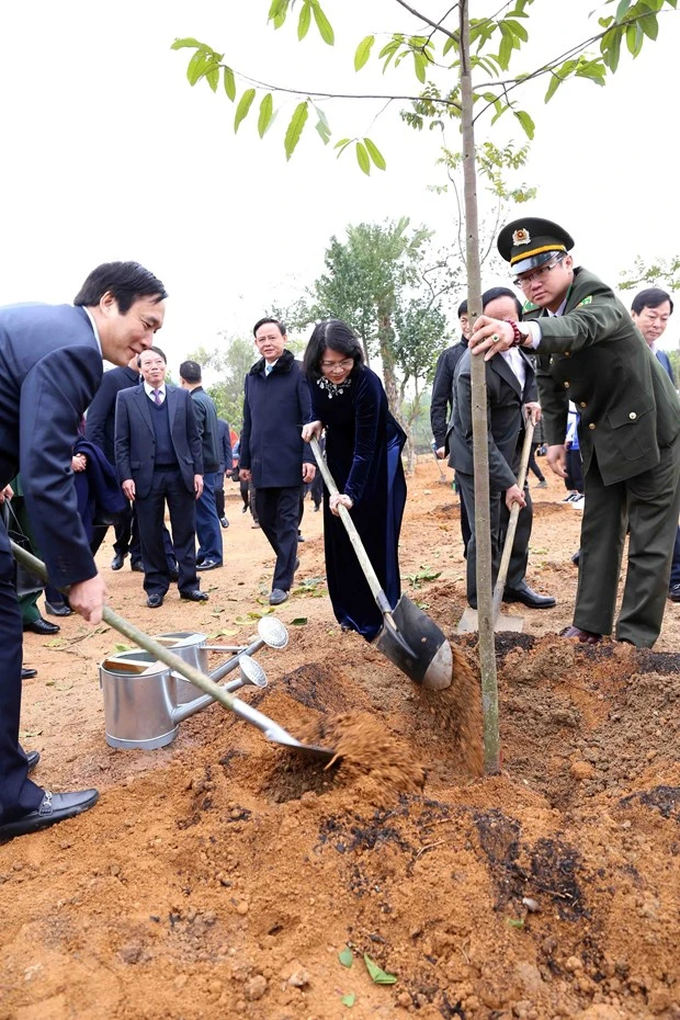 Vicepresidenta de Vietnam lanza festival de plantación de árboles