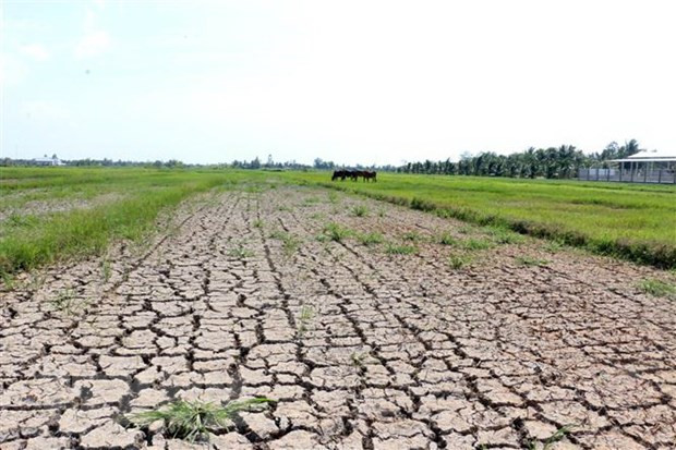 Continúa en abril la intrusión salina en Delta del Mekong de Vietnam