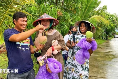 Turistas disfrutan de la experiencia de recoger mangos en los huertos de la comuna de Cam Lam, en Khanh Hoa. (Fuente: VNA)
