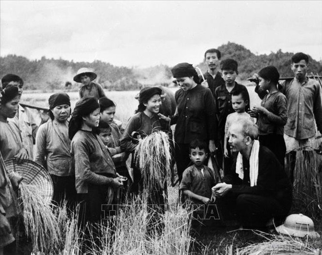 El Presidente Ho Chi Minh visita a los campesinos de la comuna Hung Son, distrito de Dai Tu (Thai Nguyen), que se encuentran cosechando arroz de la temporada invierno-primavera en 1954. (Foto: VNA) ho-chi-minh-180525.jpg