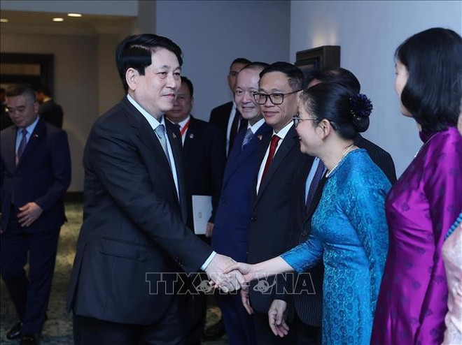 El presidente de Vietnam, Luong Cuong, y los embajadores vietnamitas acreditados en África. (Fuente: VNA) chu-tich-nuoc-2.jpg