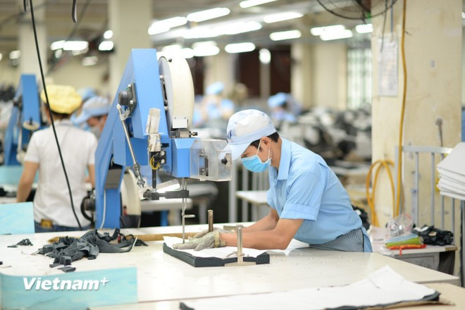 Muchas empresas se enfocan en marcas de alto valor añadido para mantener su cuota de mercado. (Foto: Vietnam+) detmay1.jpg