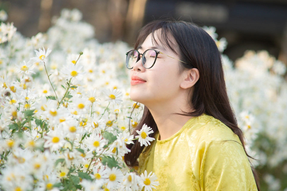 El jardín de margaritas blancas en el área ecoturística de Thung Nham, distrito de Hoa Lu, provincia de Ninh Binh, atrae a un gran número de turistas para tomar fotografías. (Foto: VNA)