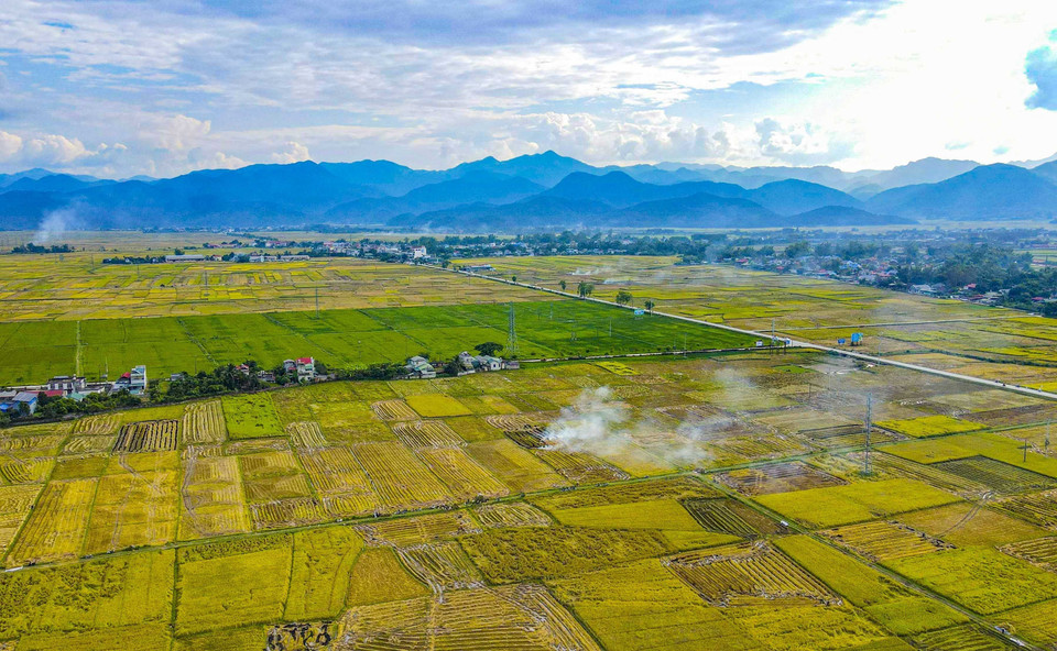 El campo de Muong Thanh visto desde arriba. (Foto: VNA)