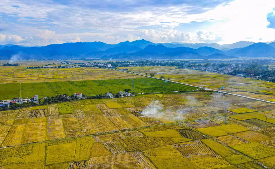 El campo de Muong Thanh visto desde arriba. (Foto: VNA)