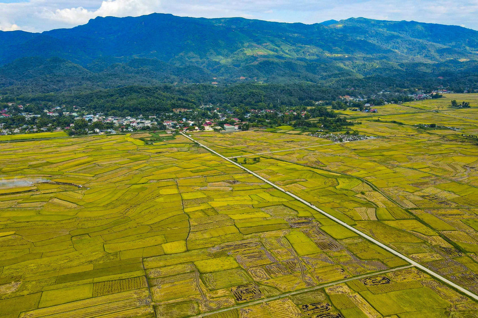 El campo de Muong Thanh se encuentra en la comuna de Thanh An, distrito de Dien Bien (provincia de Dien Bien). (Foto: VNA)