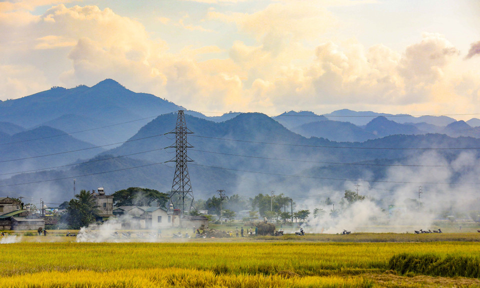 Paisaje del campo de arroz de Muong Thanh por la tarde. (Foto: VNA)