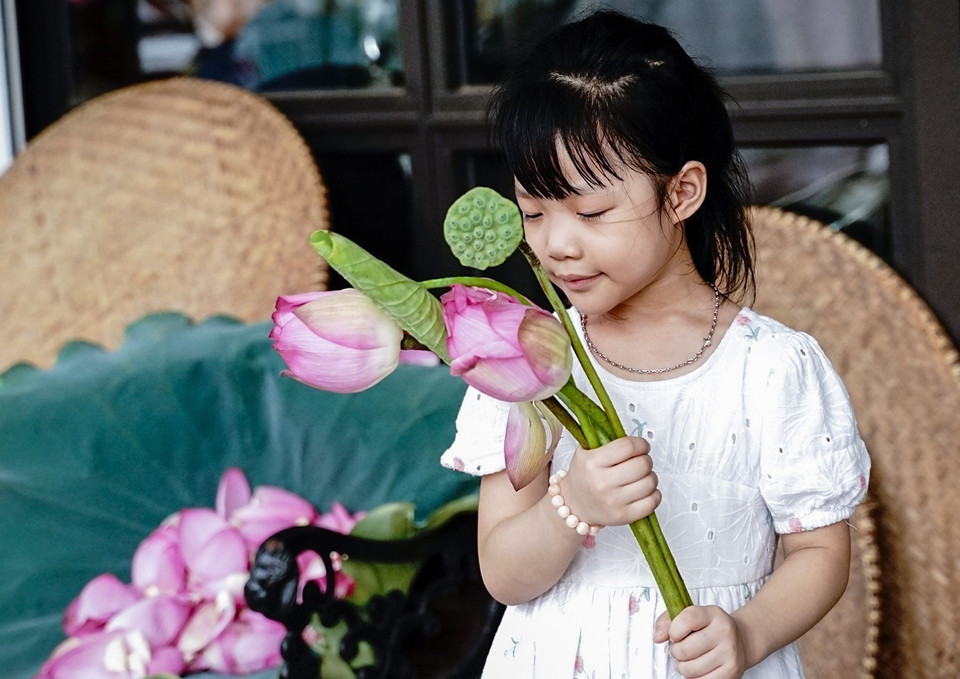 Una niña en el barrio de Quang An junto a las flores de loto de Bach Diep recién cosechadas para marinar el té. (Fuente: VNA)