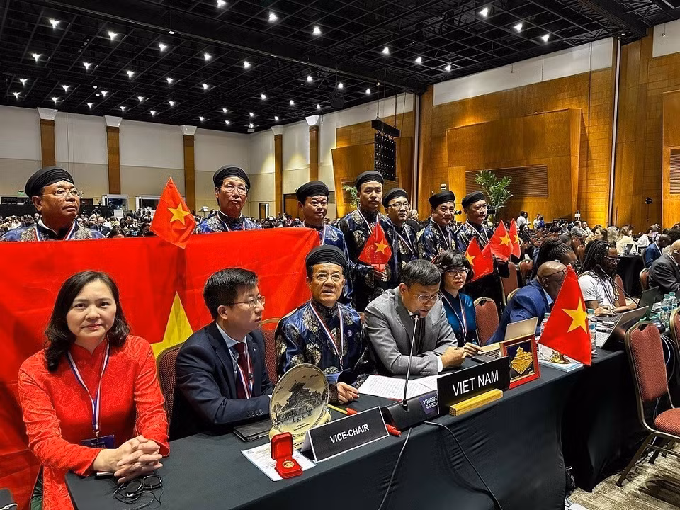 La delegación vietnamita asistió a la XIX Sesión del Comité Intergubernamental para la Salvaguardia del Patrimonio Cultural Inmaterial, celebrada en Asunción, capital de Paraguay. (Foto: VNA)