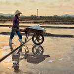 Conservando el sabor salado entre el sol y el viento del Centro de Vietnam