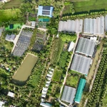 El auge del agroturismo en Vietnam: una apuesta por el desarrollo sostenible