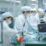 Industria de semiconductores de Vietnam acelera en la carrera global