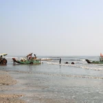 Pescadores de Nghe An disfrutan de buena temporada de cangrejo azul 