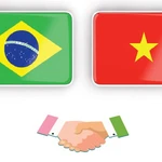 Relaciones de asociación estratégica Vietnam - Brasil