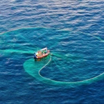 Vietnam amplía esfuerzos para avanzar hacia una pesca responsable