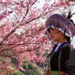 Flores de To day en la montaña cautivan a los visitantes