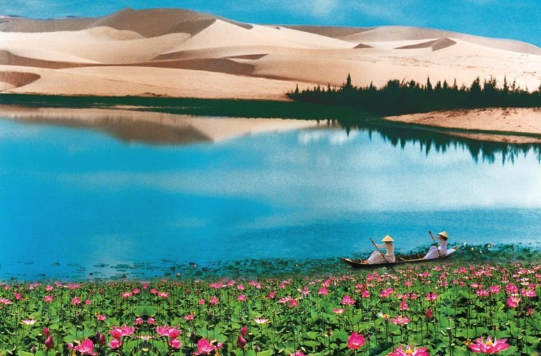 Durante la temporada de floración del loto, los visitantes tienen la opción de pasear en bote por el lago, envuelto en el fragante aroma de las flores. (Foto: Suntravelgroup)