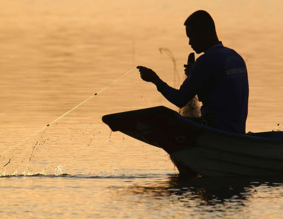 Redes de pesca en los campos inundados de la comuna de Vinh Vien, ciudad de Can Tho. (Foto: VNA)