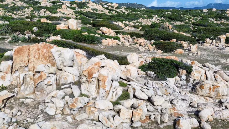 El parque de piedras tiene un ecosistema de bosque seco y montaña rocosa costera típico del Parque Nacional Nui Chua (Ninh Thuan). (Foto: VNA)