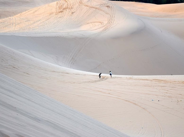 Con un sencillo alquiler de tabla, los turistas pueden vivir la emocionante experiencia de hacer sandboarding en las dunas de Bau Trang. (Foto: Suntravelgroup)