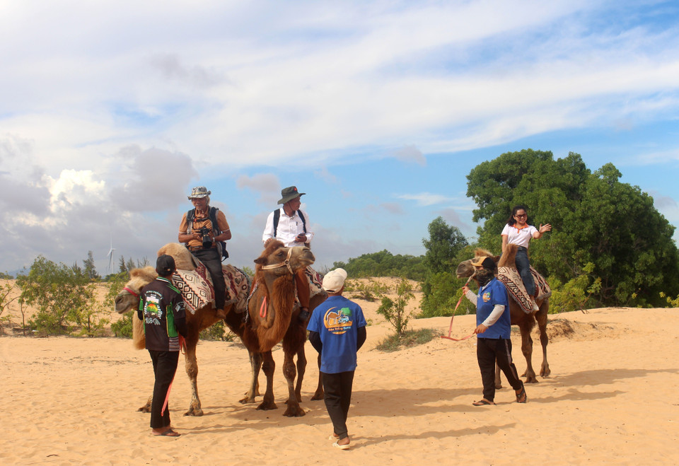 Montar en camello para recorrer las dunas es uno de los atractivos que los turistas pueden disfrutar en Bau Trang. (Foto: VNA)