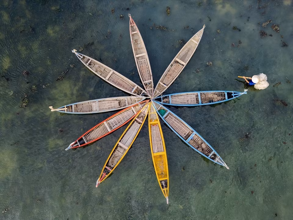 Las barcas de madera permiten a los visitantes desplazarse con facilidad y explorar la rica biodiversidad del ecosistema local. (Foto: VNA)