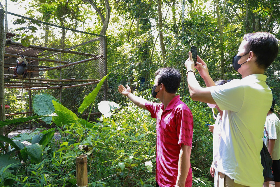 El centro está abierto al público mediante visitas guiadas, con el objetivo de educar y sensibilizar tanto a visitantes como a comunidades locales sobre el valor de los primates y la importancia de conservar la biodiversidad. (Foto: VNA)