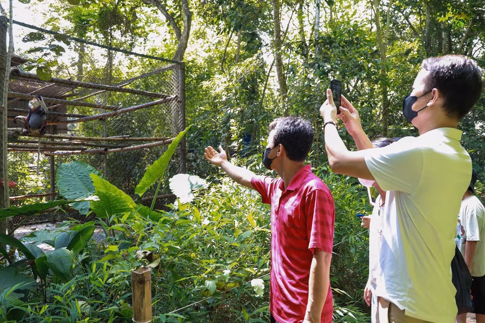 El centro está abierto al público mediante visitas guiadas, con el objetivo de educar y sensibilizar tanto a visitantes como a comunidades locales sobre el valor de los primates y la importancia de conservar la biodiversidad. (Foto: VNA)