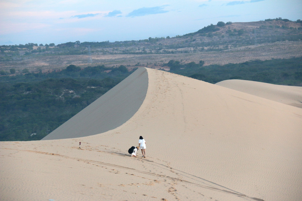 Las dunas cambian de forma con la brisa marina, ofreciendo un paisaje siempre dinámico. (Foto: VNA)