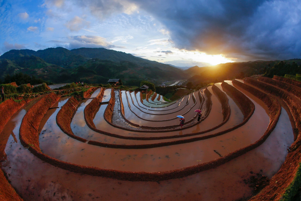 Temporada de riego en los campos en terrazas de Mu Cang Chai (Foto: VNA)