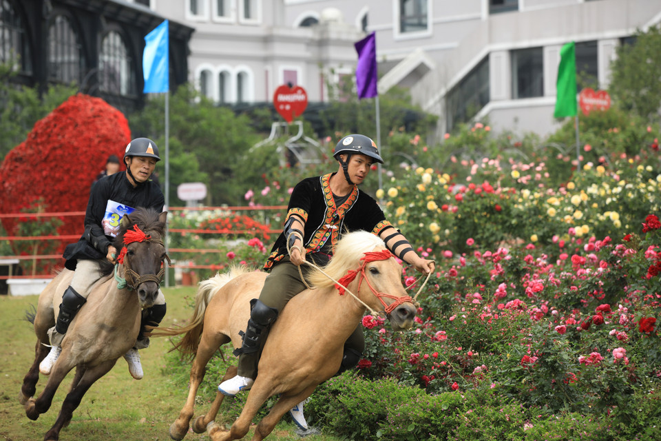 Ambiente festivo en un festival de carreras de Caballo en el complejo turístico Sun World Fansipan Legend. (Foto: VNA)