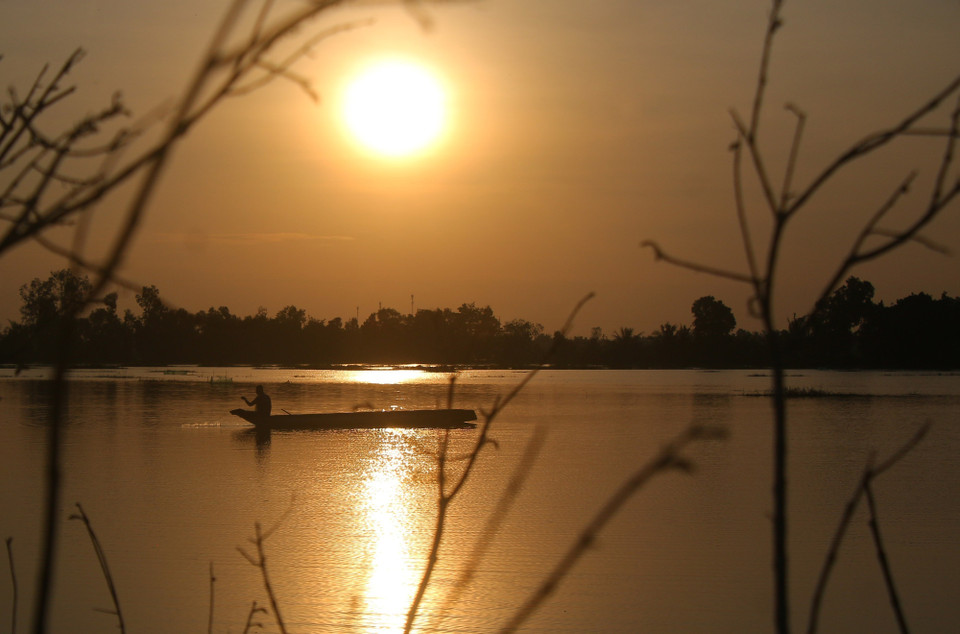 Colocación de trampas para la pesca en los campos de la comuna de Vinh Vien, ciudad de Can Tho, durante la temporada de inundaciones. (Foto: VNA)