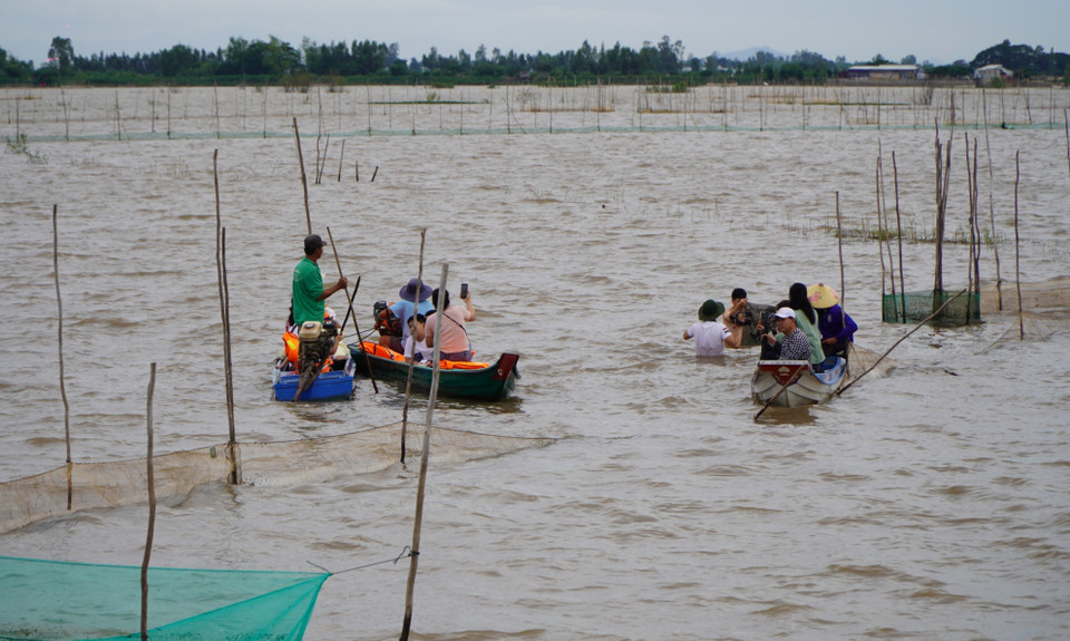 Turistas experimentan la temporada de crecidas en los campos del caserío Giong Bang, comuna de Thuong Phuoc. (Foto: VNA)