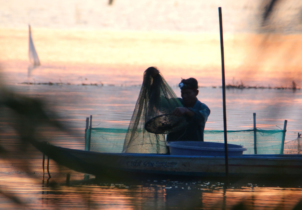 Trampas de pesca en los campos inundados de la comuna de Vinh Vien, ciudad de Can Tho. (Foto: VNA)