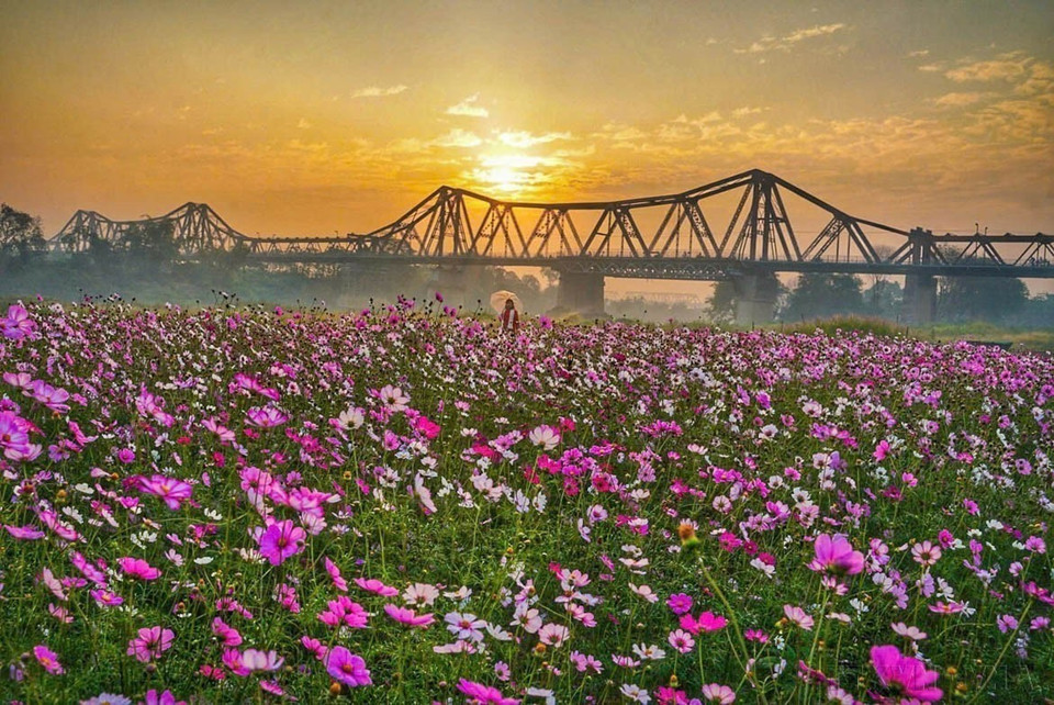 La belleza del Puente Long Bien, un símbolo cultural e histórico de Hanoi. (Foto: VNA)