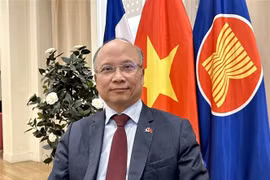El embajador vietnamita en Francia, Dinh Toan Thang (Fuente: VNA)
