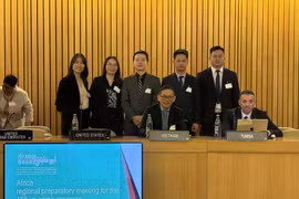 La delegación vietnamita asiste a la Reunión Preparatoria Regional Africana para el 15.º Congreso de las Naciones Unidas sobre Prevención del Delito y Justicia Penal. (Foto: VNA)