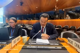 El embajador Mai Phan Dung, representante permanente de Vietnam ante las Naciones Unidas, la Organización Mundial del Comercio (OMC) y otras organizaciones internacionales en Ginebra, interviene en la octava Revisión de la Política Comercial de la OMC sobre la India. (Foto: VNA)