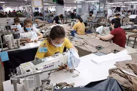 La empresa textil TDT Thai Nguyen fabrica prendas de vestir para su exportación al mercado de la Unión Europea. (Foto: VNA)