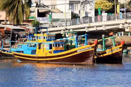 Los barcos pesqueros de Binh Thuan anclados en el río Ca Ty. (Foto: VNA)